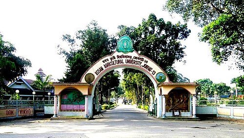 College of Agriculture, Raichur Campus